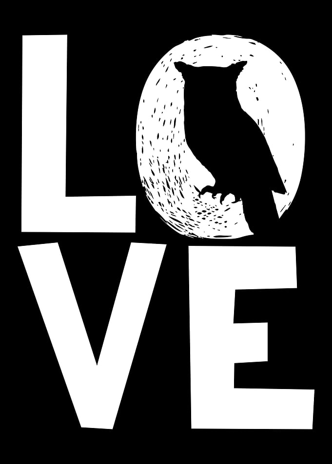 Owls Love Owl Nocturnal