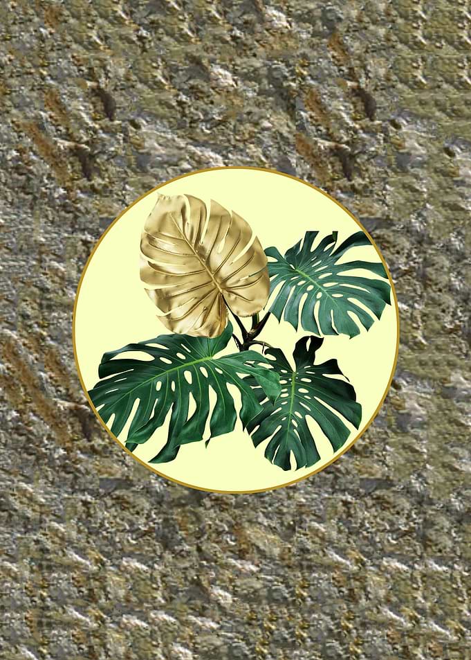Monstera leaves rock