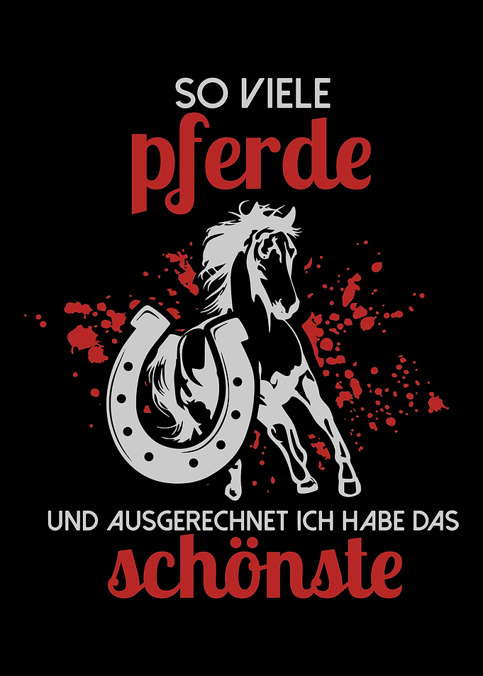 Horse Horse Lover