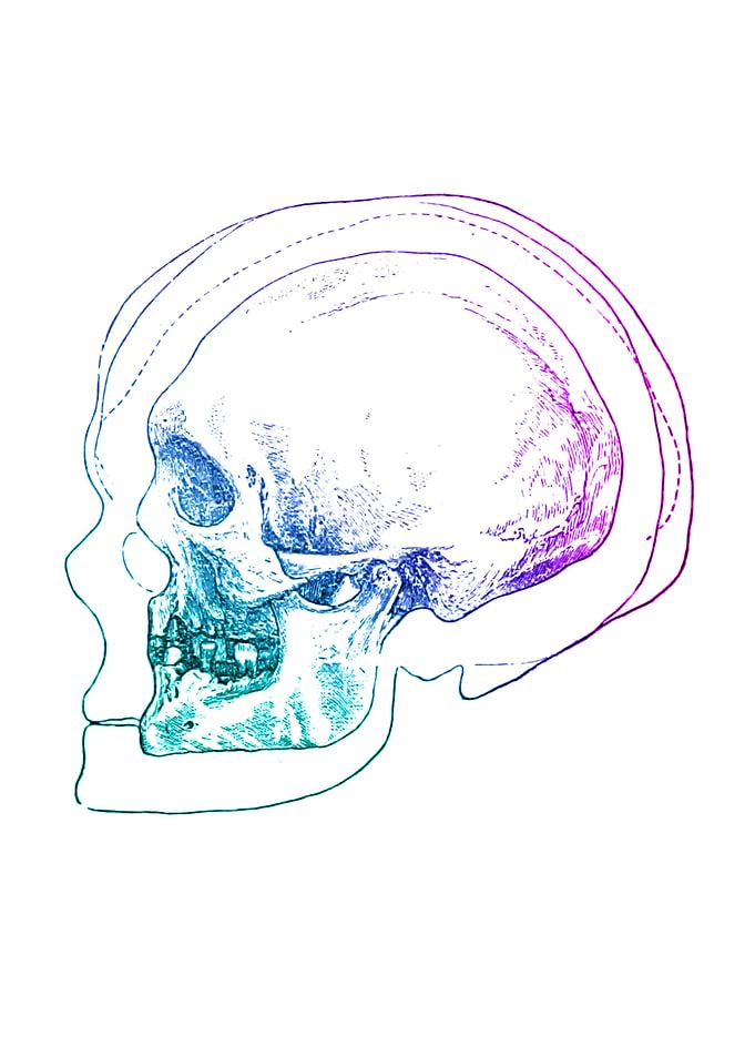 Rainbow skull