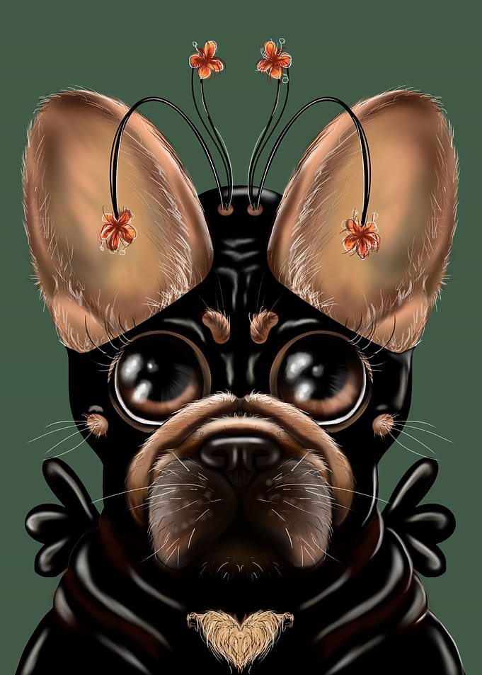 French Bulldog Hero
