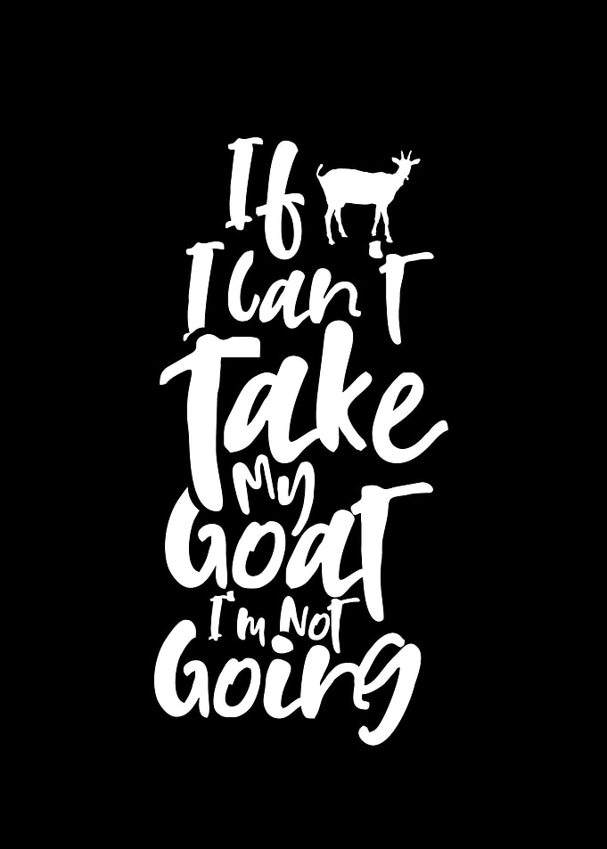 Sheperd Goat Goats