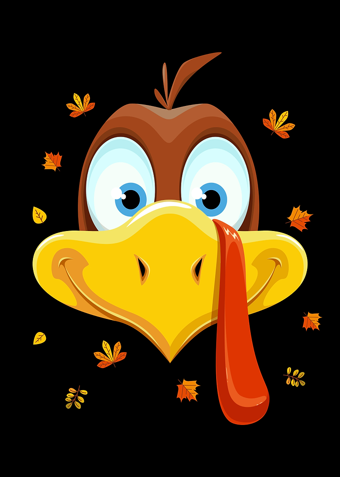 Thanksgiving Turkey Funny