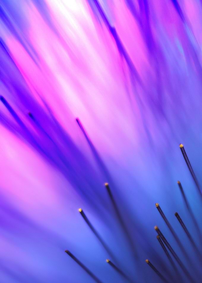 Purple series 09
