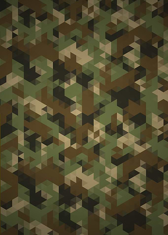 Triangles Camo