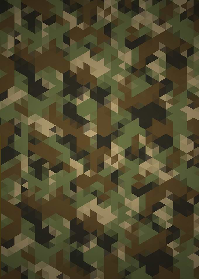 Triangles Camo