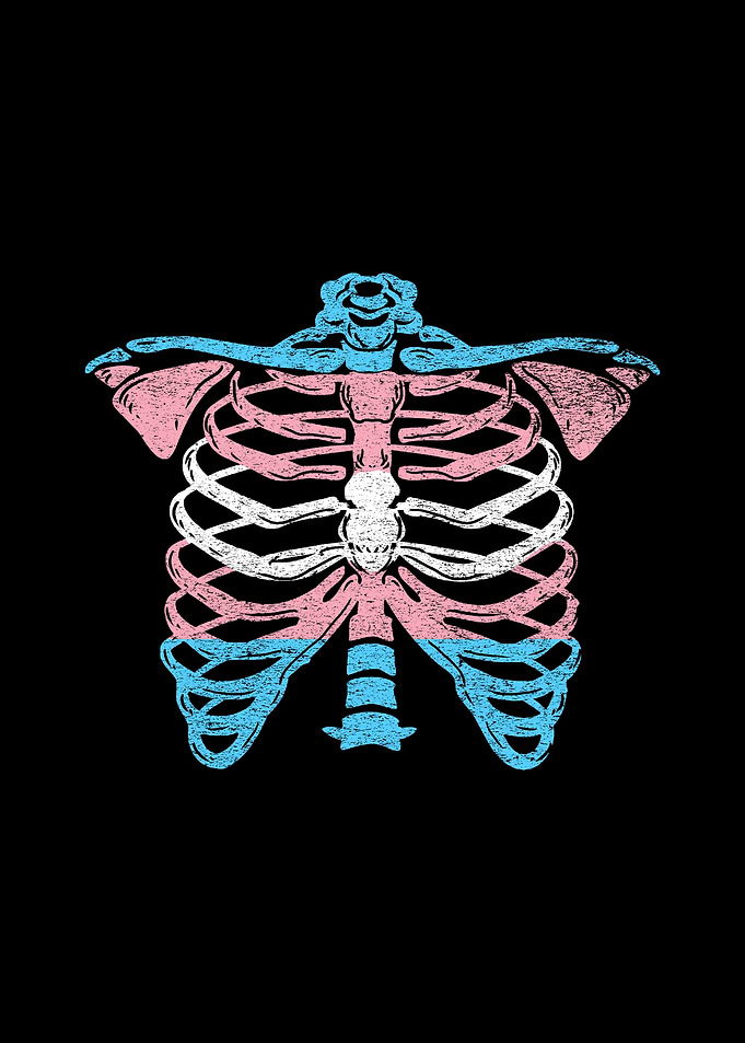 Ribcage Trans Pride