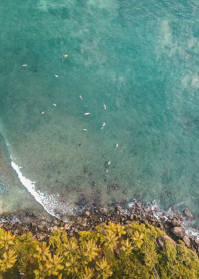 The sea