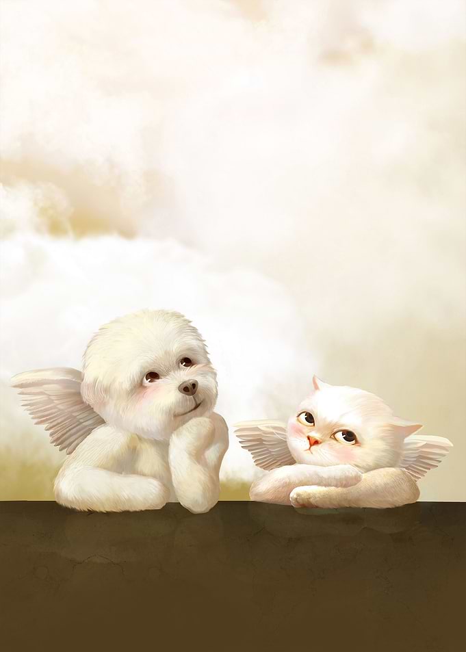 Angels