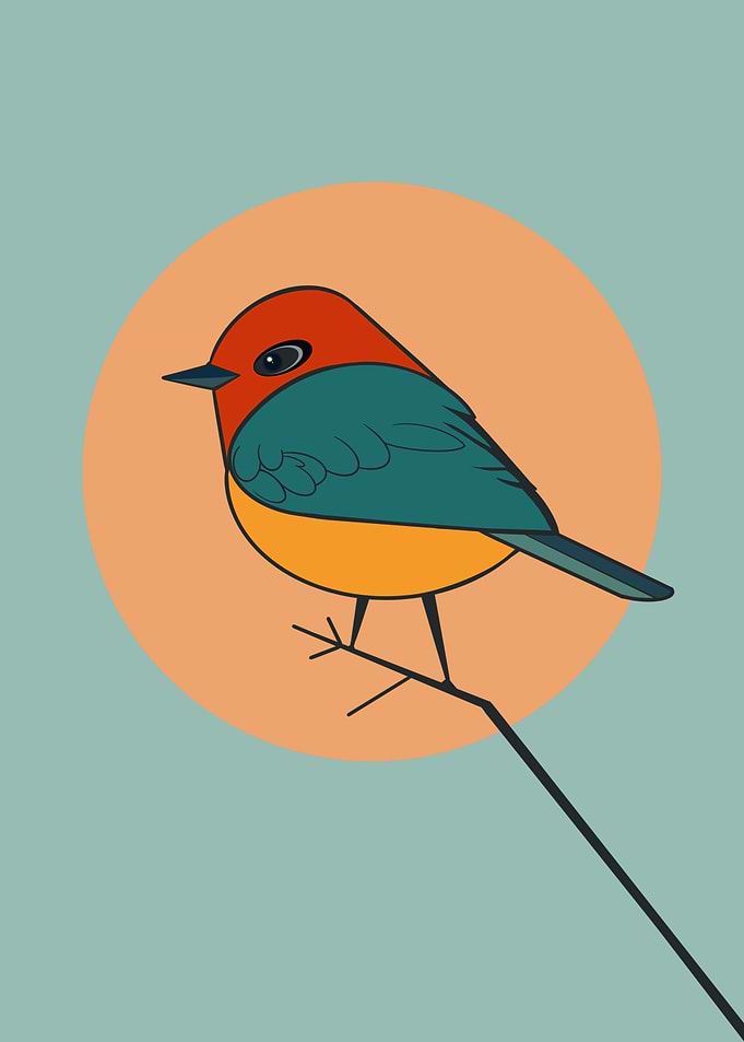 Silly Bird