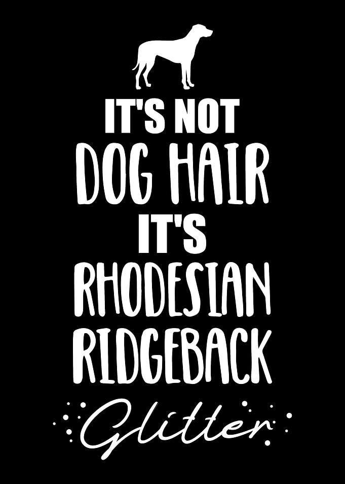 Rhodesian Ridgeback
