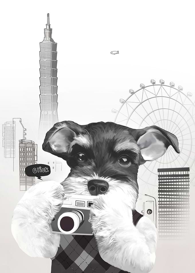Schnauzer with Camera