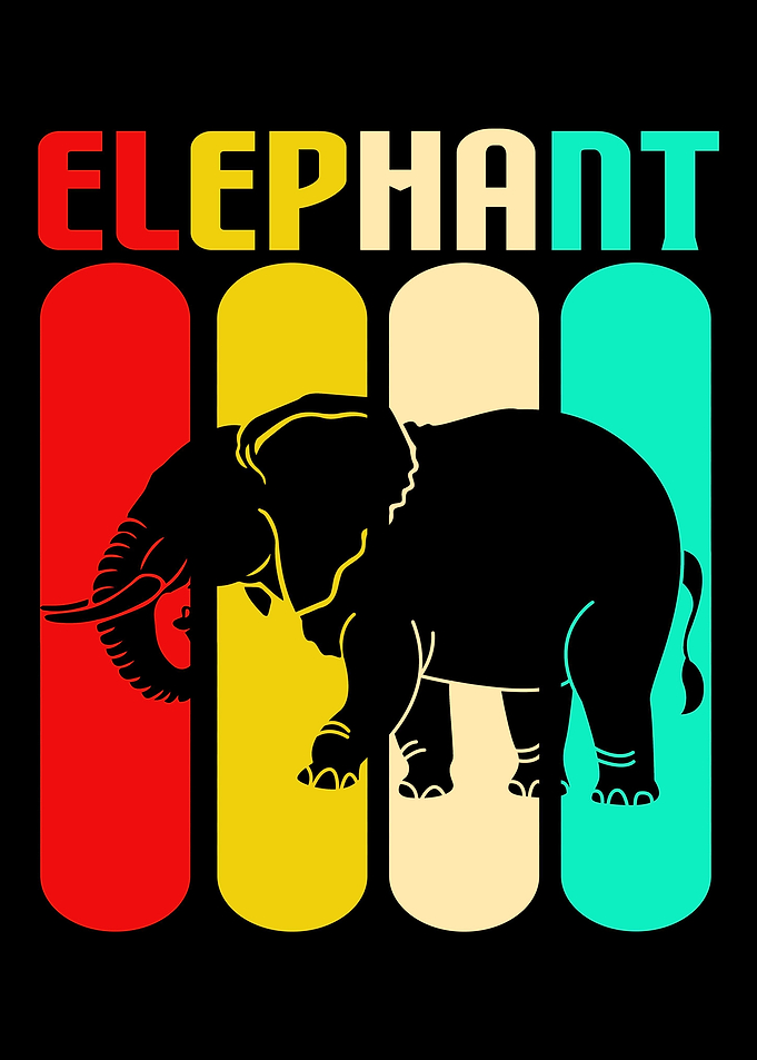 Colorful Elephant