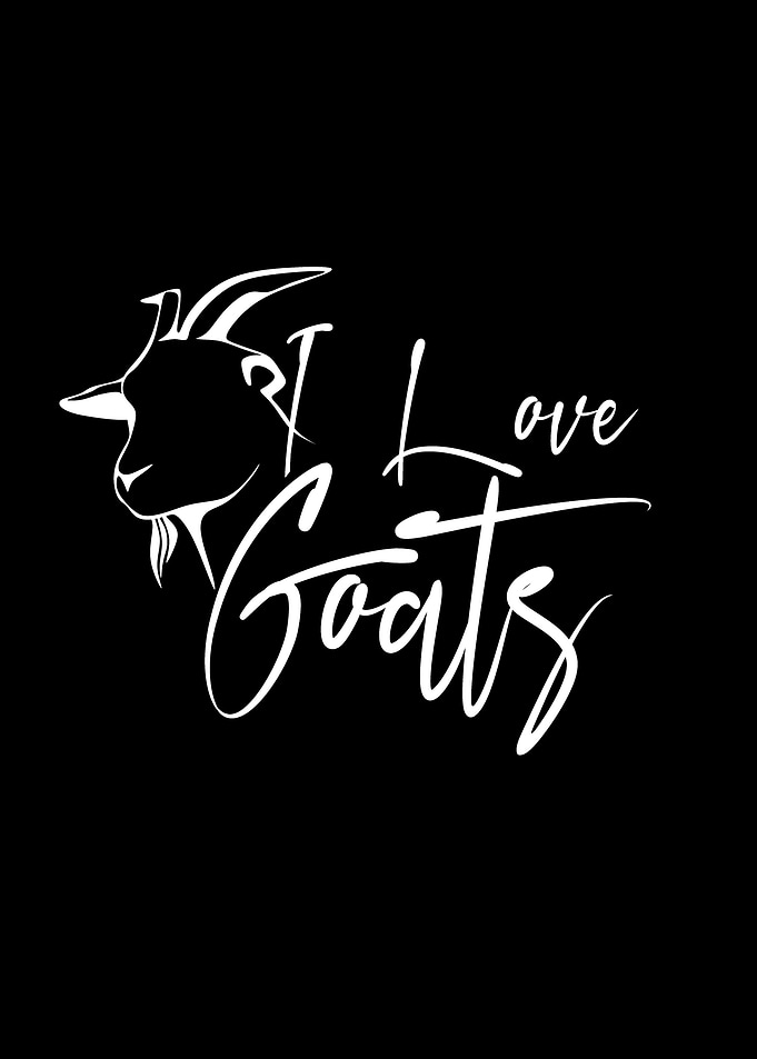 Goat Goats Sheperd