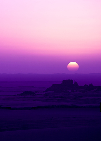 Purple series 04