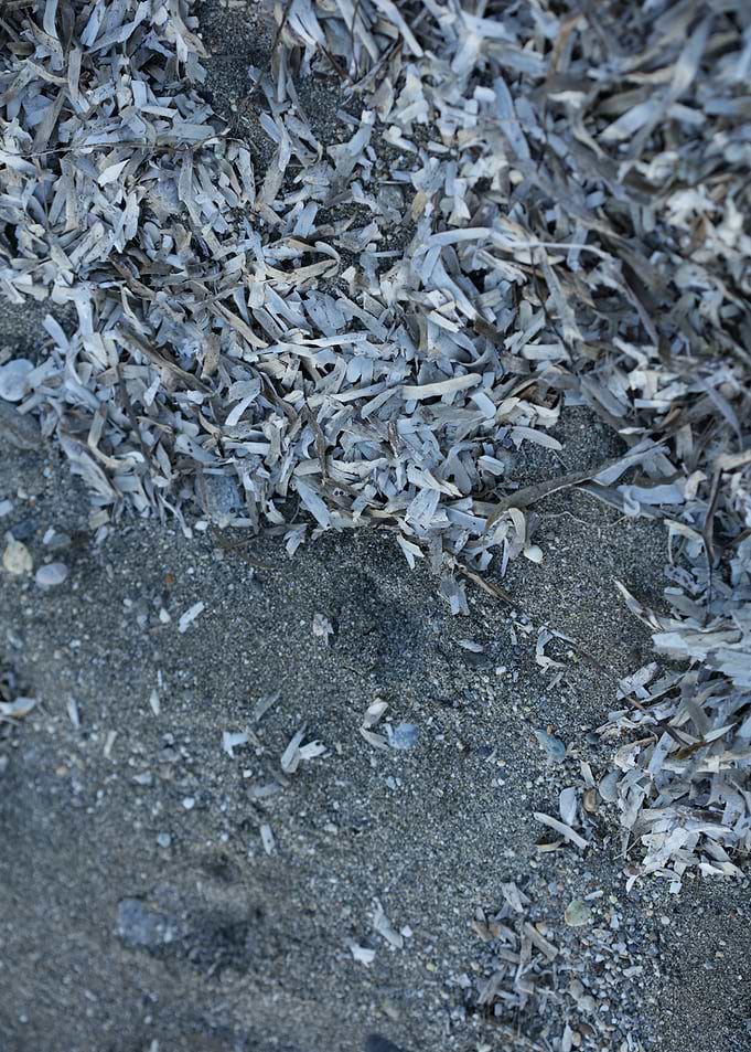 Sea beach ground Creta