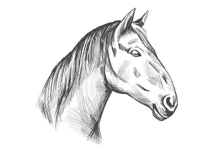 hand drawn gift