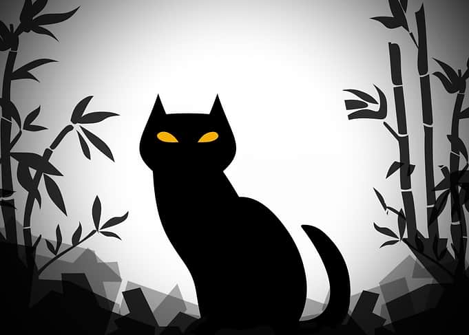 Black Cat