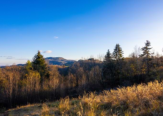 Autumn landscape