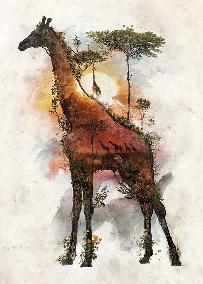 Giraffe Surreal