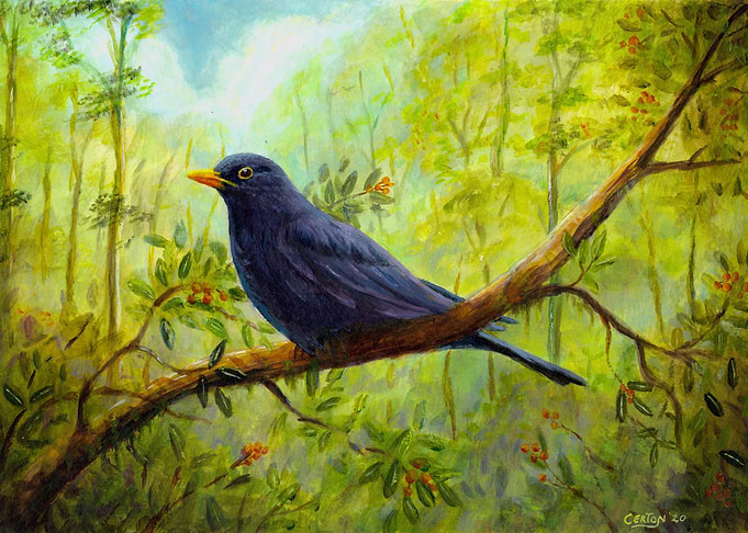 Blackbird