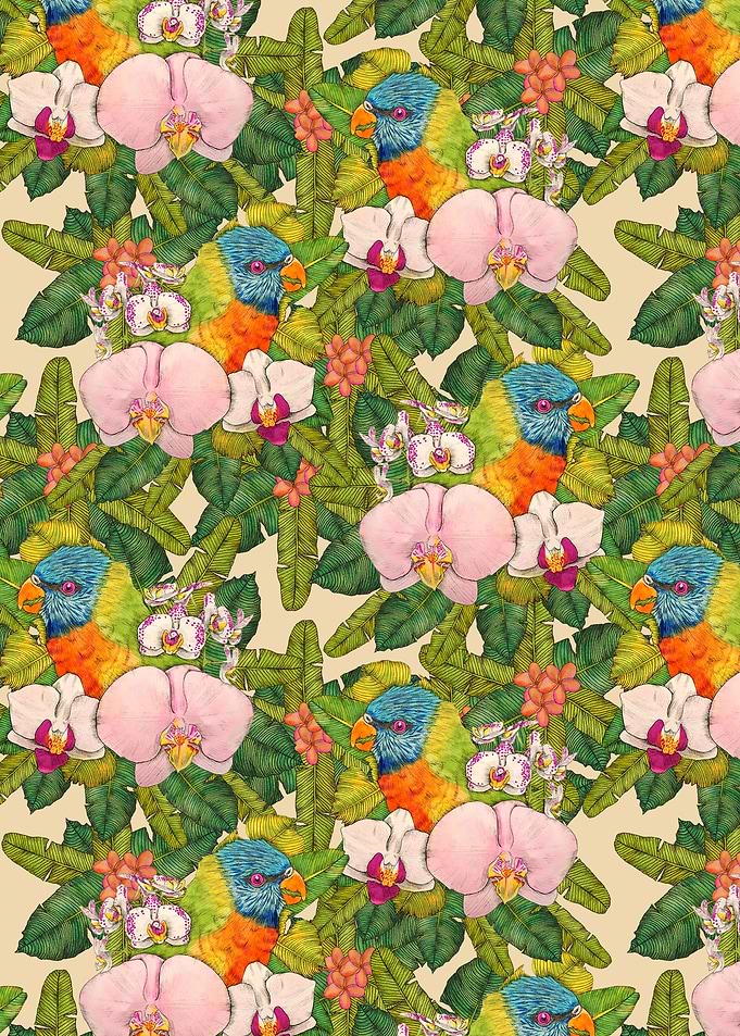 Rainbow Lorikeets