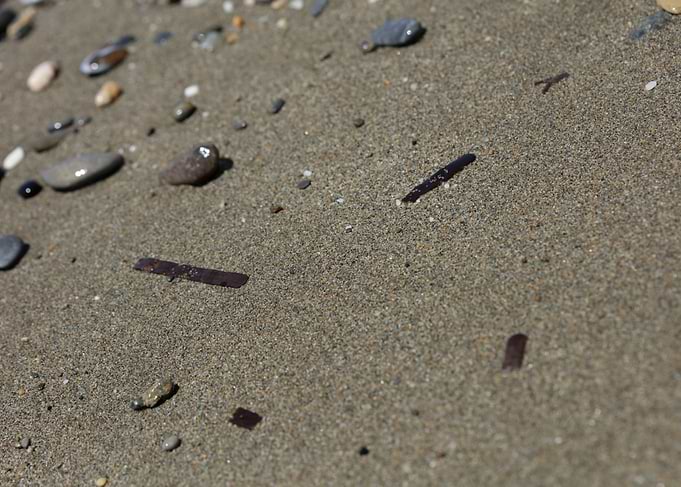 Sea beach ground Crete