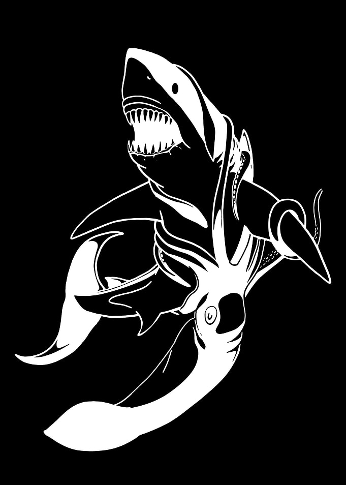 Shark and giant squid