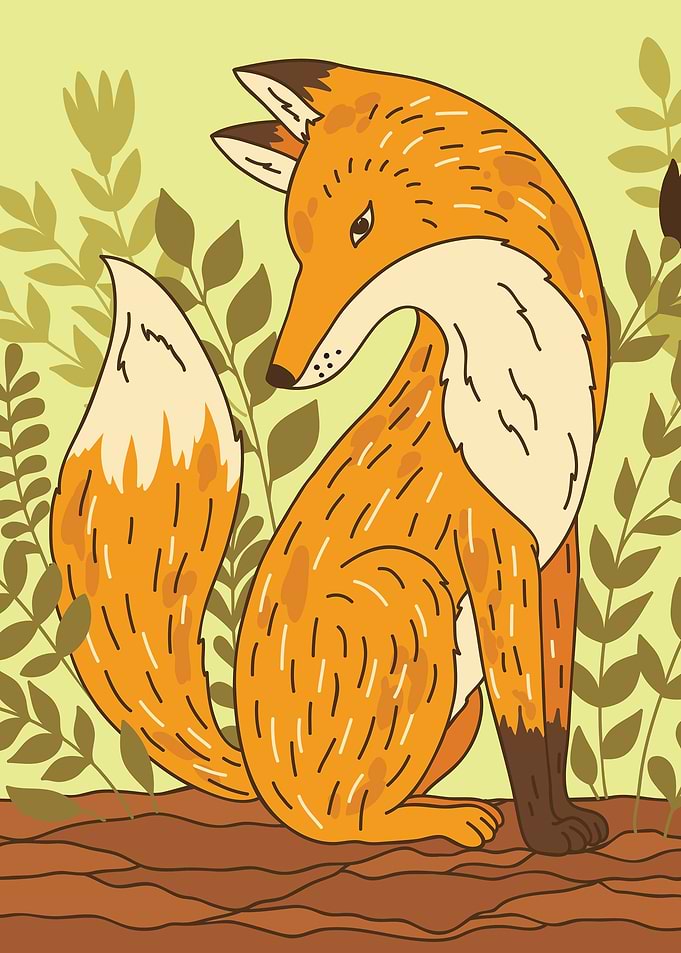Fox