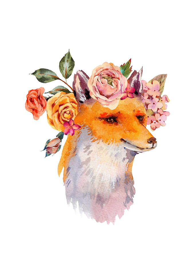 Fox