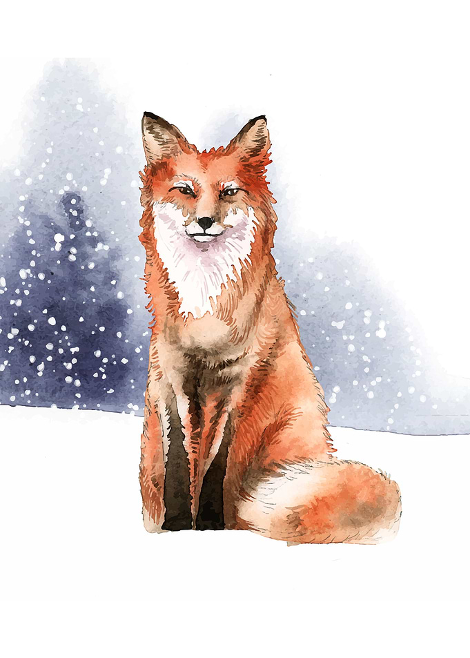Fox