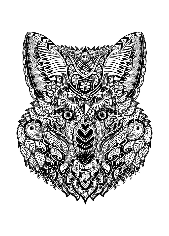 Fox
