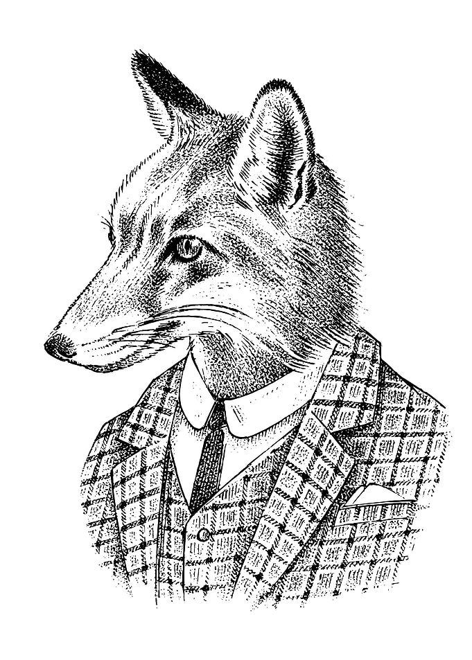 Fox