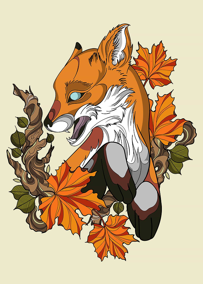 Fox