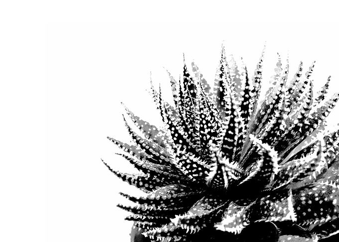 Cute Plant