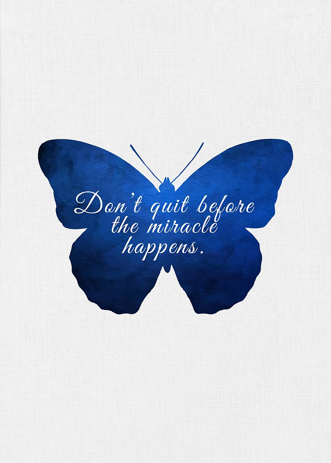 Butterfly Miracle