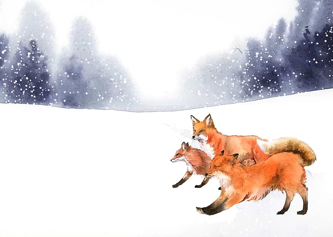 Fox