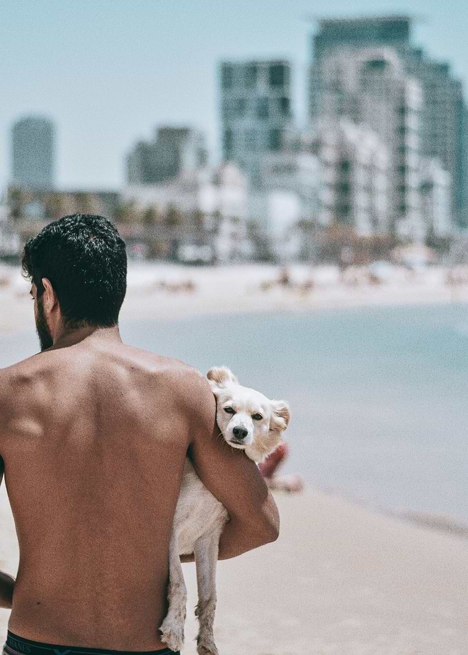 Man on beach with dog