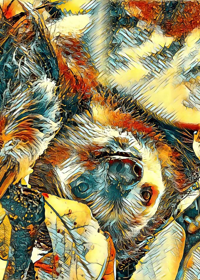 AnimalArt Sloth 002