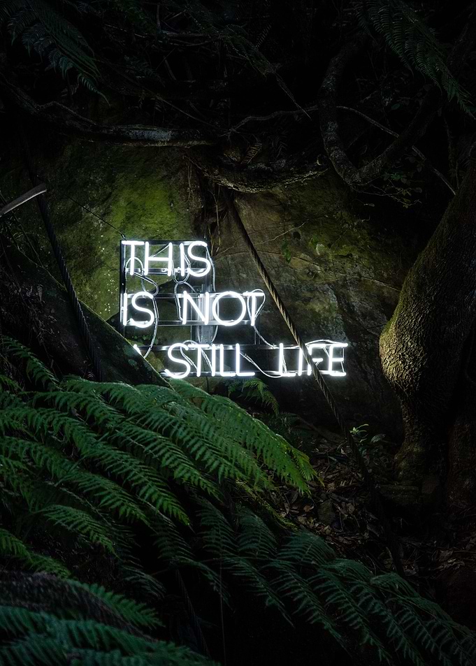 This is not still life