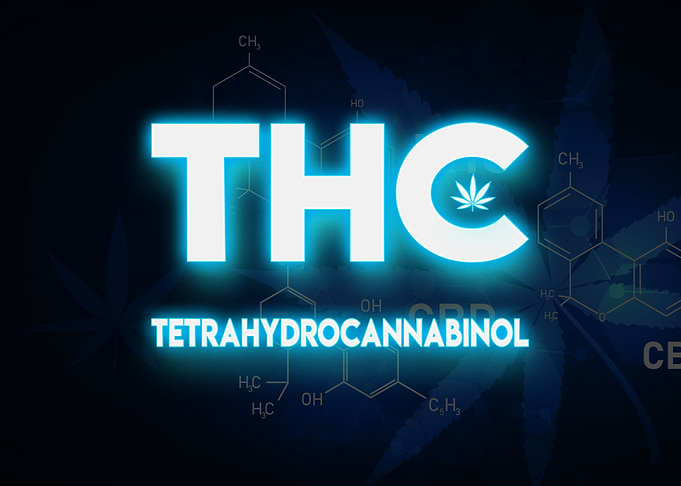 Cannabis Weed Marihuana
