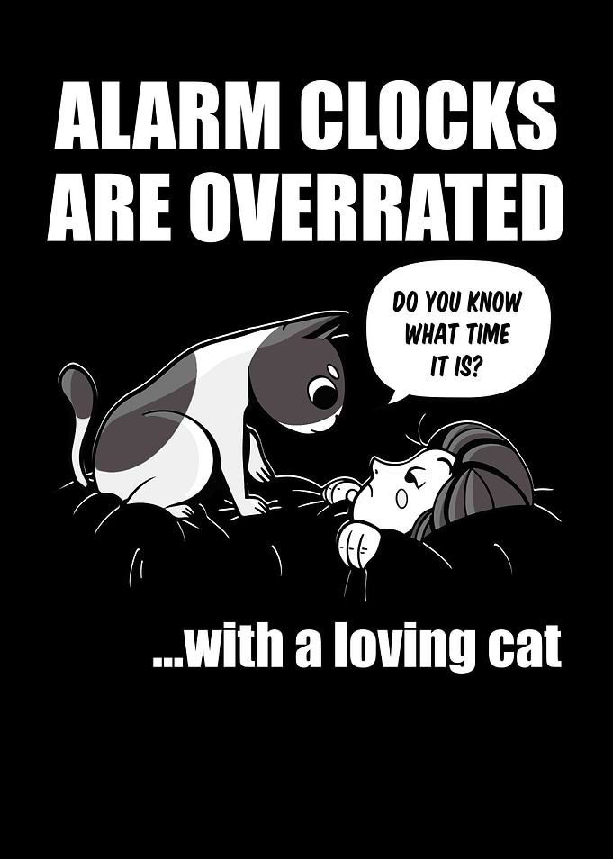 Wake Up Cat