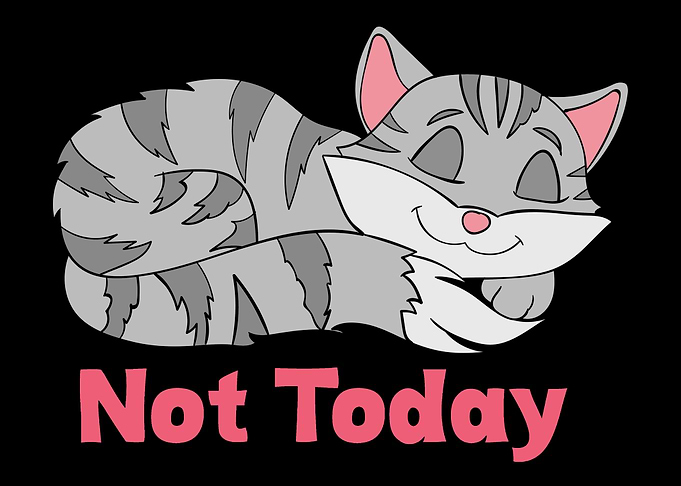 Not Today Sleeping Cat K
