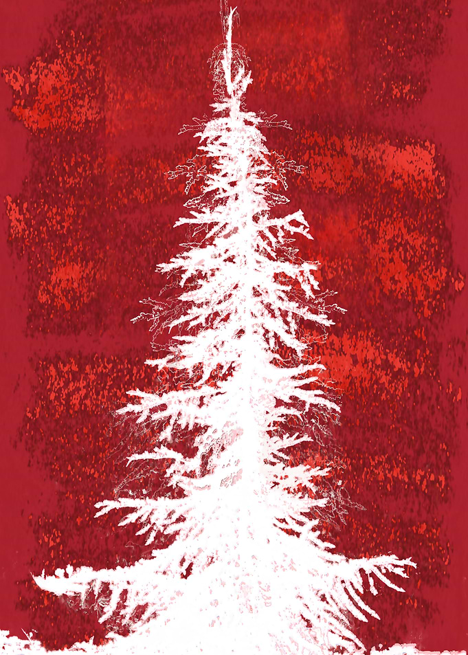 Noel XXI