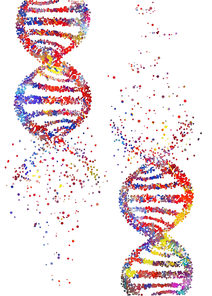 DNA molecule