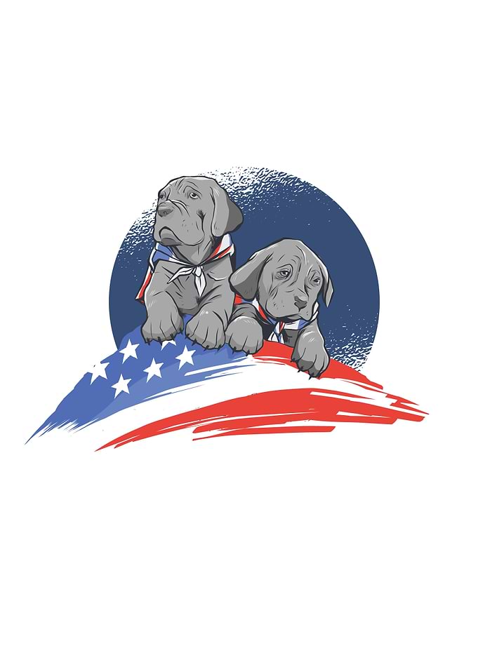 AMERICAN DOG