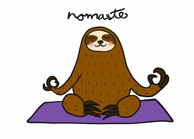 Sloth play yoga namaste