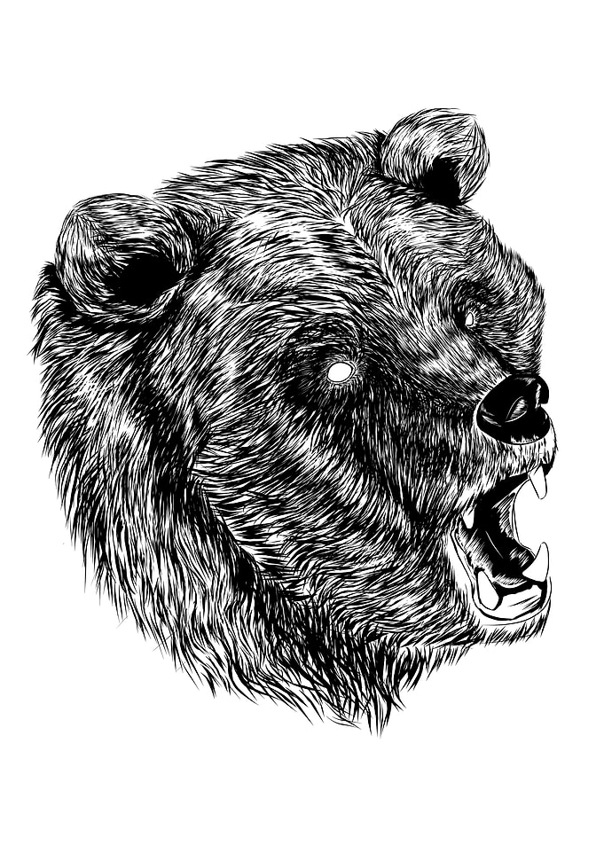 Bear head