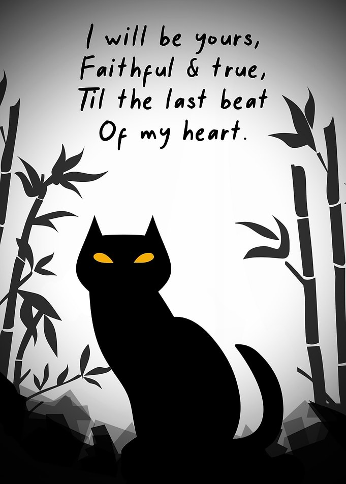 Black Cat Quote