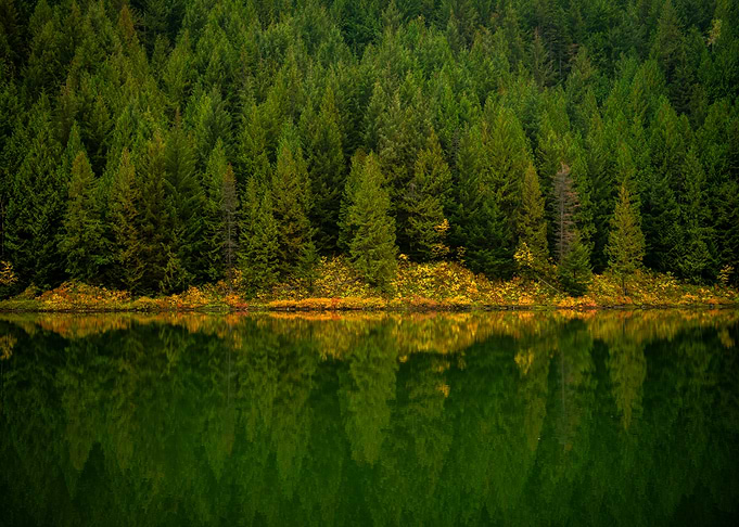 Touch of Fall